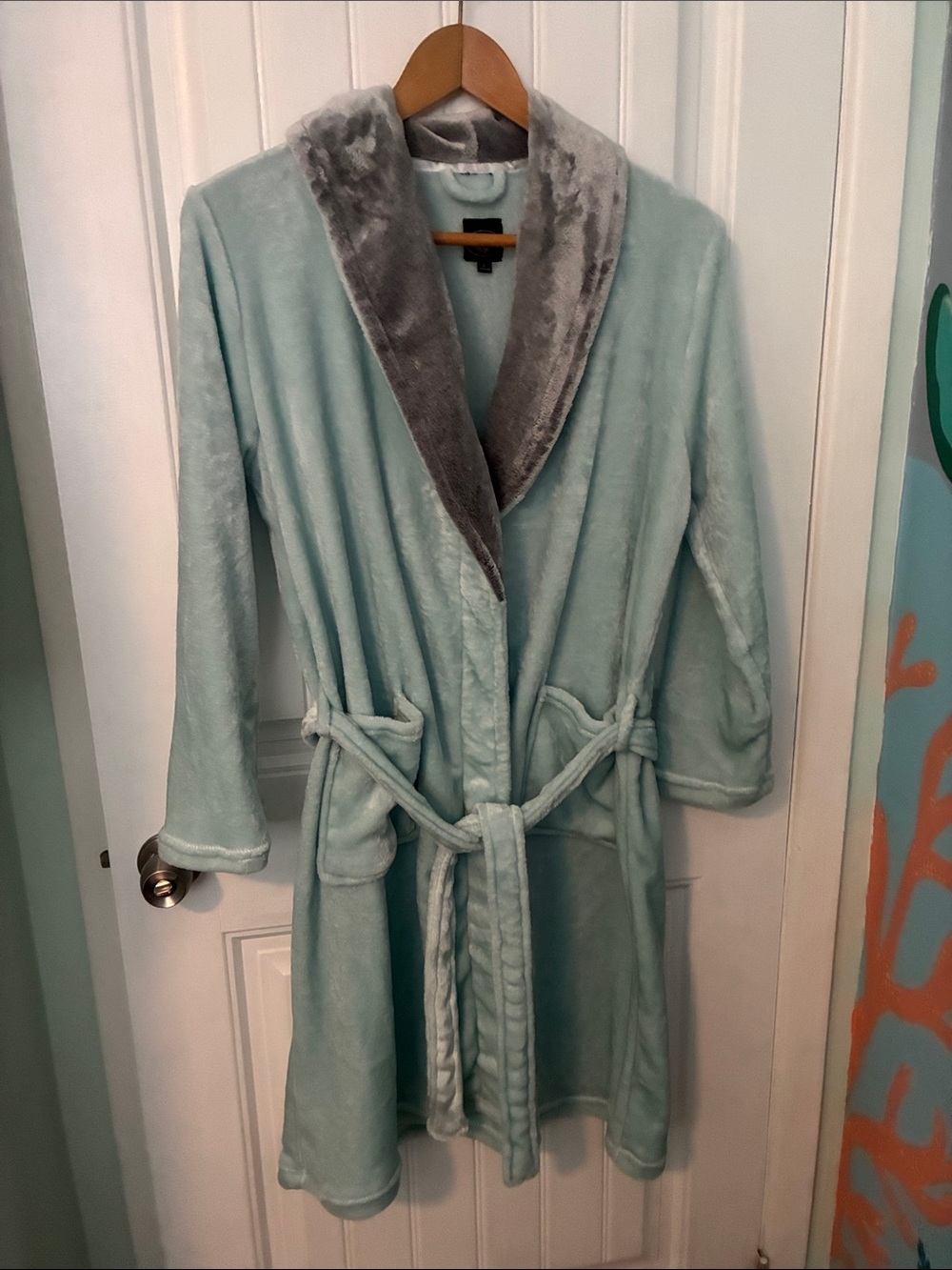 Laura Ashley Plush Robe in Mint with Gray Lapel